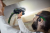 Festool 577723 8.png